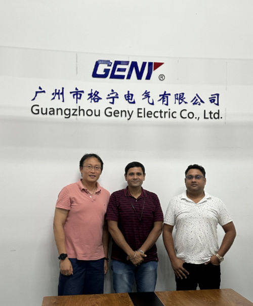 Het laatste nieuws van het bedrijf over GENY Electric Co., Ltd. heeft een Indiase opdrachtgever ontvangen voor de acceptatie en opleiding van elektriciteitsmeterkalibratietoestellen.